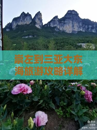 崇左到三亚大东海旅游攻略详解
