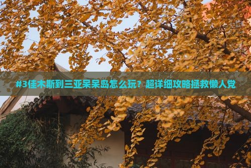 #3佳木斯到三亚呆呆岛怎么玩？超详细攻略拯救懒人党