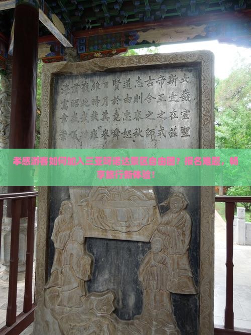 孝感游客如何加入三亚呀诺达景区自由团？报名难题，畅享旅行新体验！