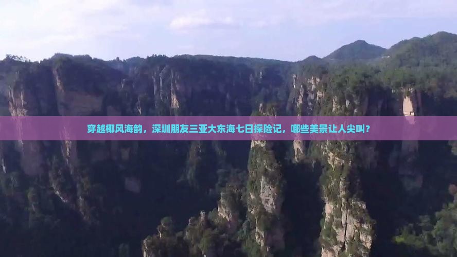 穿越椰风海韵，深圳朋友三亚大东海七日探险记，哪些美景让人尖叫？