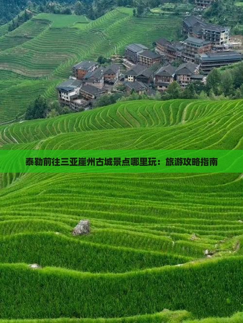 泰勒前往三亚崖州古城景点哪里玩：旅游攻略指南