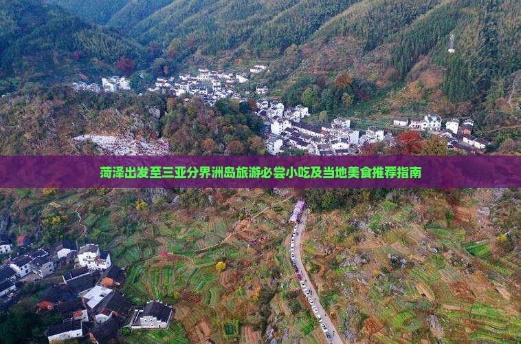菏泽出发至三亚分界洲岛旅游必尝小吃及当地美食推荐指南
