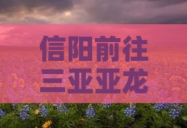 信阳前往三亚亚龙湾国际玫瑰谷旅游攻略