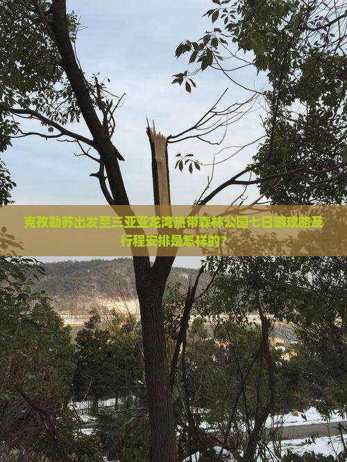 克孜勒苏出发至三亚亚龙湾热带森林公园七日游攻略及行程安排是怎样的？
