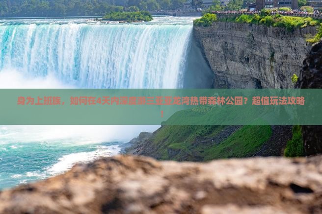 身为上班族，如何在4天内深度游三亚亚龙湾热带森林公园？超值玩法攻略！