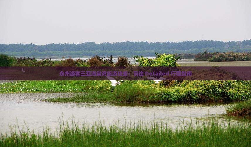 永州游客三亚海棠湾旅游攻略：前往 Detailed 行程指南