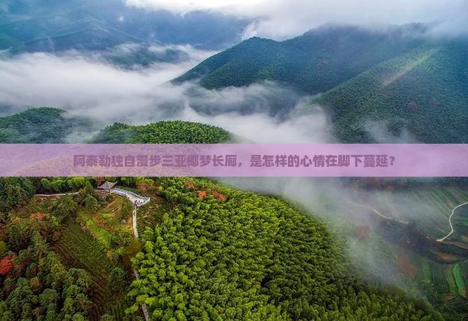 阿泰勒独自漫步三亚椰梦长廊，是怎样的心情在脚下蔓延？