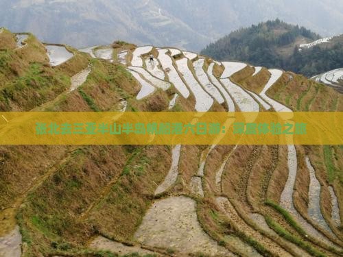 张北去三亚半山半岛帆船港六日游：深度体验之旅