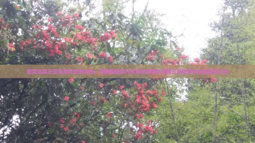 看完这篇三亚皇后湾旅游攻略，看看国际旅行社营业部带你领略三亚旅游景点的皇后风光
