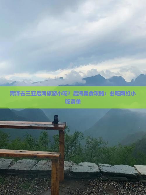 菏泽去三亚后海旅游小吃？后海美食攻略：必吃网红小吃清单