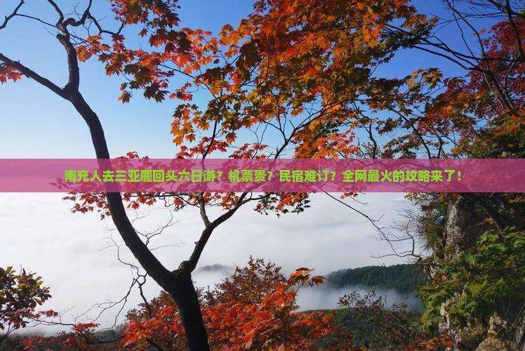 南充人去三亚鹿回头六日游？机票贵？民宿难订？全网最火的攻略来了！
