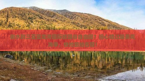 衡水到三亚亚龙湾国际玫瑰谷自由团？担心错过最美花海季，快抢旅拍名额！