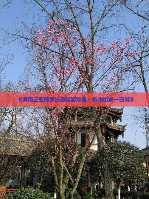 《海南三亚椰梦长廊旅游攻略：忻州出发一日游》