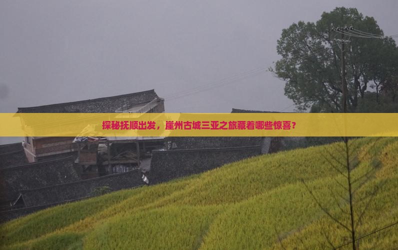 探秘抚顺出发，崖州古城三亚之旅藏着哪些惊喜？