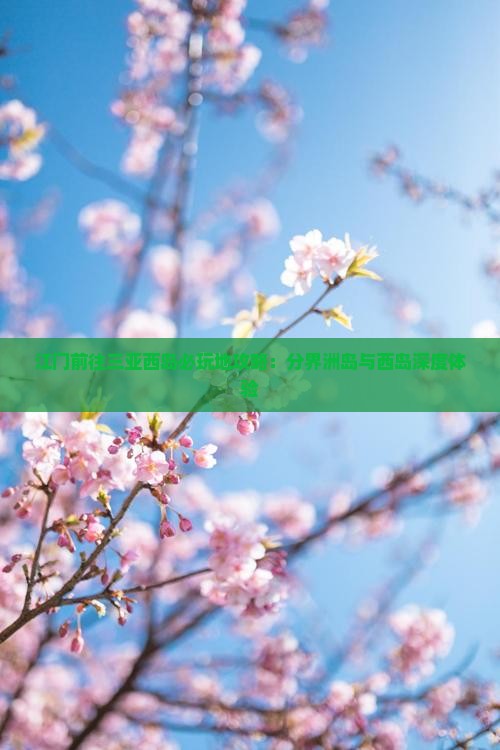 江门前往三亚西岛必玩地攻略：分界洲岛与西岛深度体验