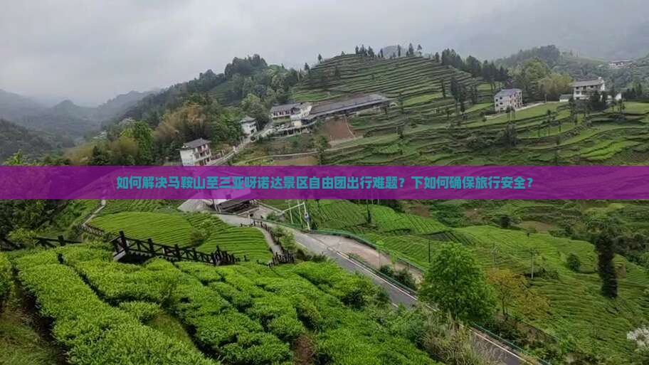 如何解决马鞍山至三亚呀诺达景区自由团出行难题？下如何确保旅行安全？