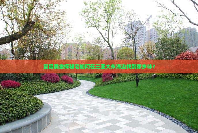 宜昌美食探秘宅如何在三亚大东海边找到家乡味？
