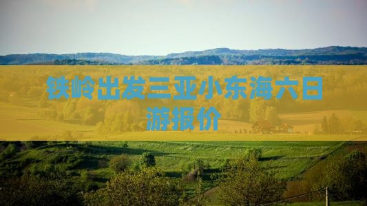 铁岭出发三亚小东海六日游报价