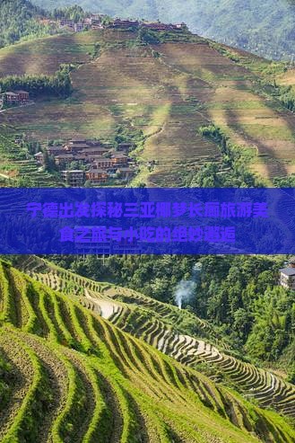 宁德出发探秘三亚椰梦长廊旅游美食之旅与小吃的绝妙邂逅