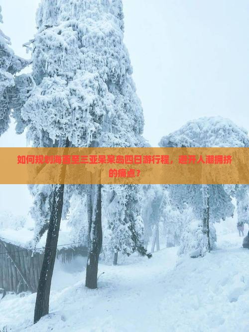 如何规划海西至三亚呆呆岛四日游行程，避开人潮拥挤的痛点？