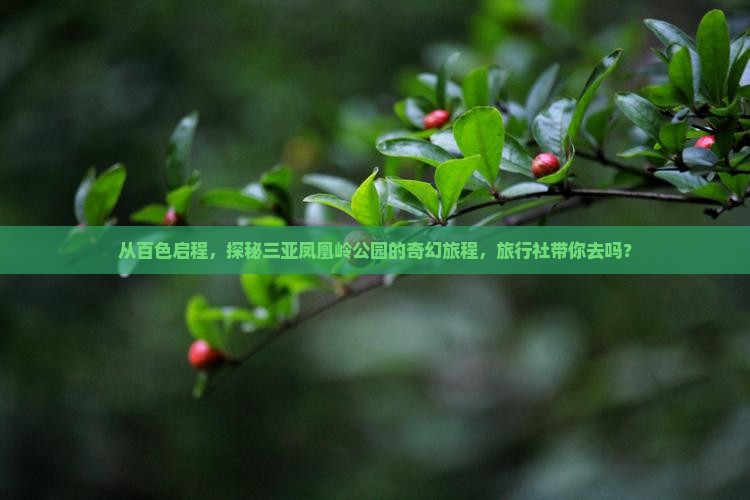 从百色启程，探秘三亚凤凰岭公园的奇幻旅程，旅行社带你去吗？