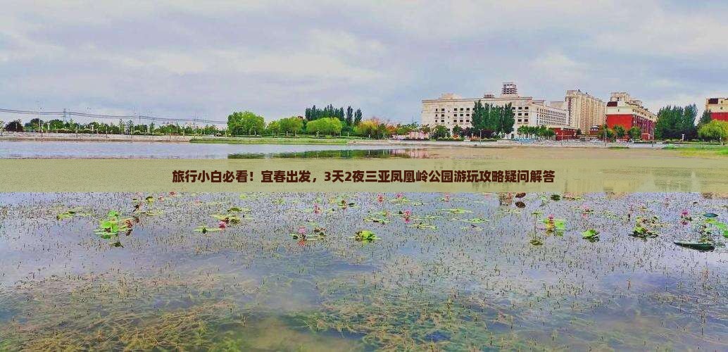 旅行小白必看！宜春出发，3天2夜三亚凤凰岭公园游玩攻略疑问解答