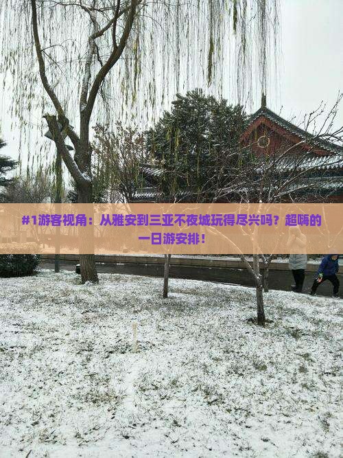 #1游客视角：从雅安到三亚不夜城玩得尽兴吗？超嗨的一日游安排！