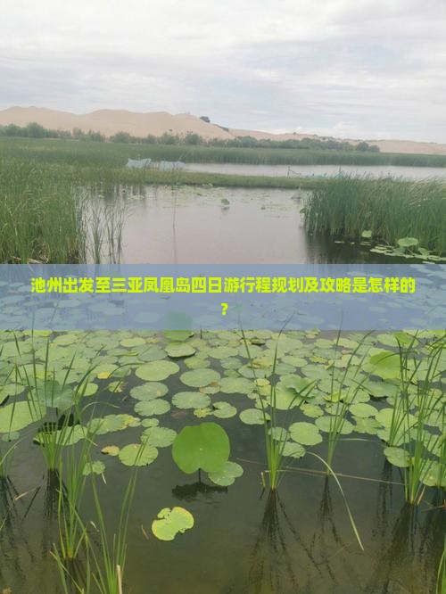 池州出发至三亚凤凰岛四日游行程规划及攻略是怎样的？
