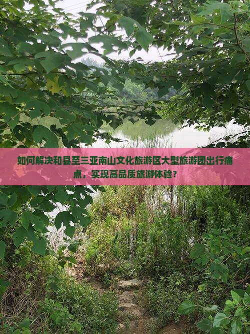 如何解决和县至三亚南山文化旅游区大型旅游团出行痛点，实现高品质旅游体验？