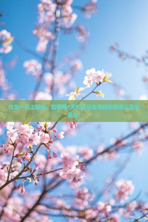 作为一名上班族，如何用3天时间从北海轻松畅游三亚皇后湾？