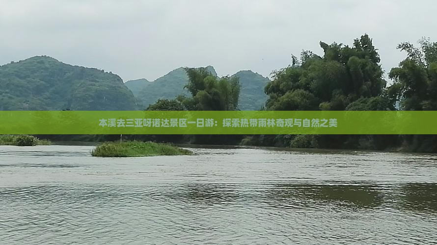 本溪去三亚呀诺达景区一日游：探索热带雨林奇观与自然之美