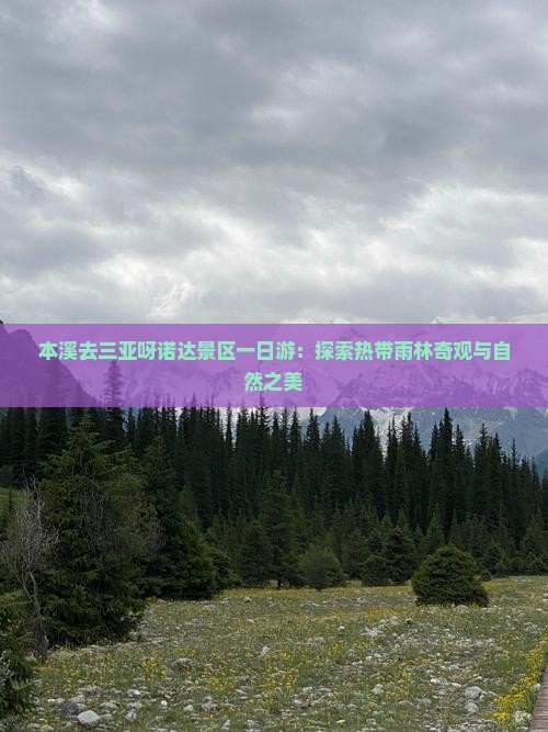 本溪去三亚呀诺达景区一日游：探索热带雨林奇观与自然之美