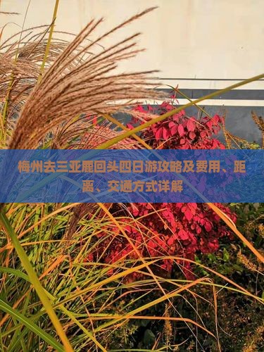 梅州去三亚鹿回头四日游攻略及费用、距离、交通方式详解
