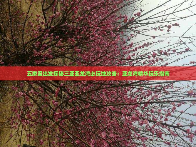 五家渠出发探秘三亚亚龙湾必玩地攻略：亚龙湾精华玩乐指南