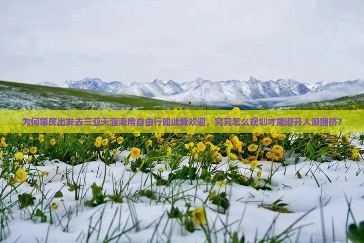 为何肇庆出发去三亚天涯海角自由行如此受欢迎，究竟怎么规划才能避开人潮拥挤？