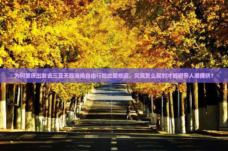 为何肇庆出发去三亚天涯海角自由行如此受欢迎，究竟怎么规划才能避开人潮拥挤？