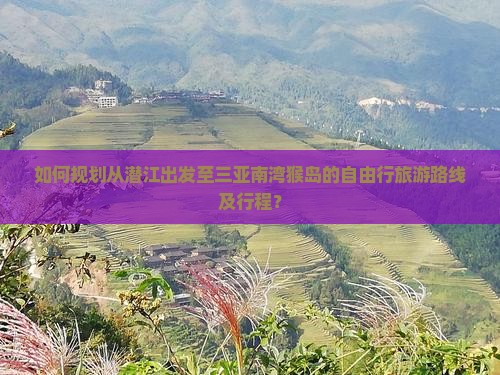 如何规划从潜江出发至三亚南湾猴岛的自由行旅游路线及行程？