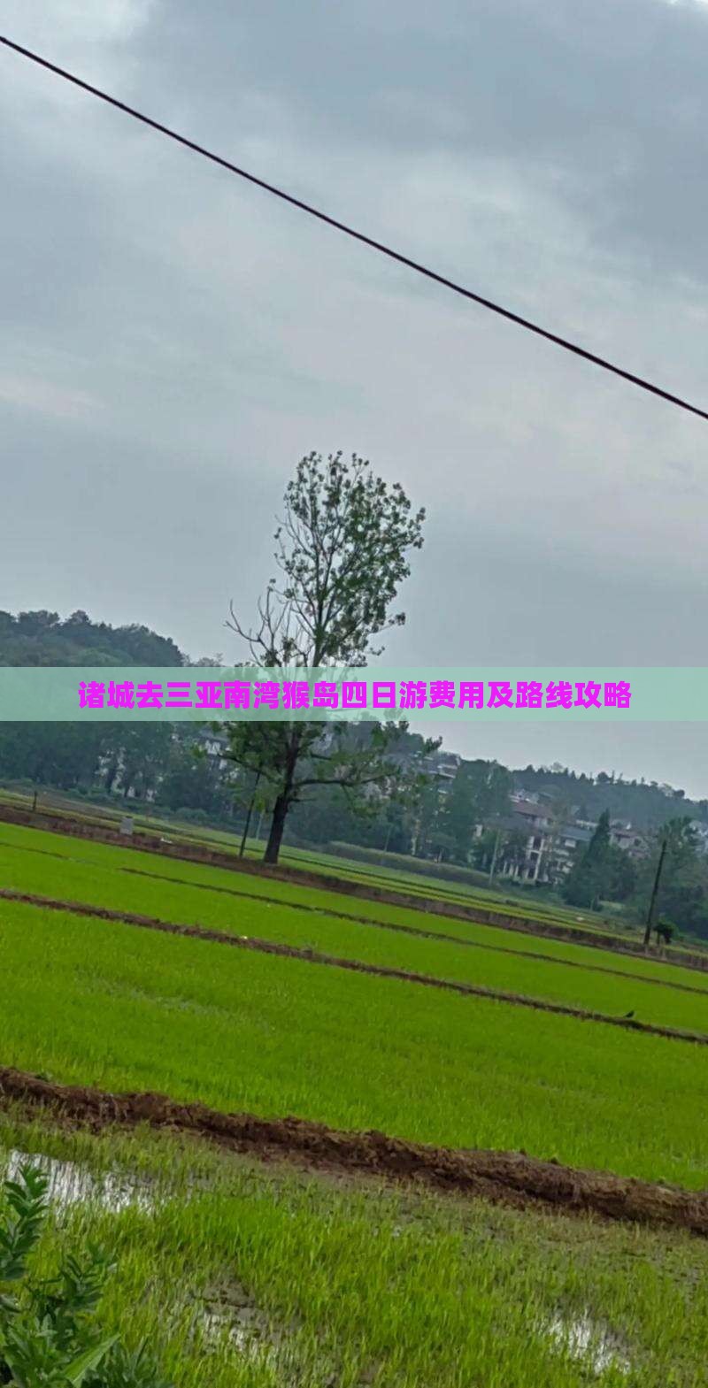 诸城去三亚南湾猴岛四日游费用及路线攻略