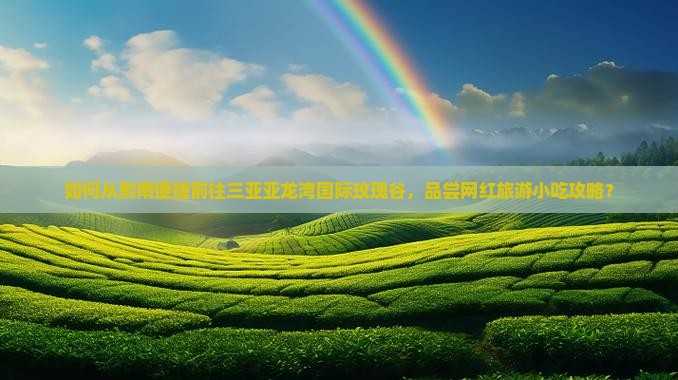 如何从黔南便捷前往三亚亚龙湾国际玫瑰谷，品尝网红旅游小吃攻略？