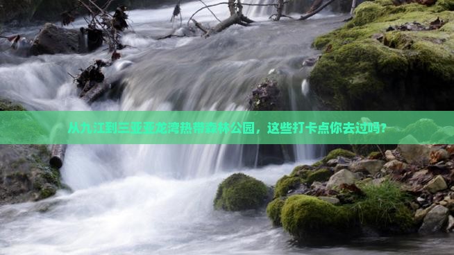 从九江到三亚亚龙湾热带森林公园，这些打卡点你去过吗？