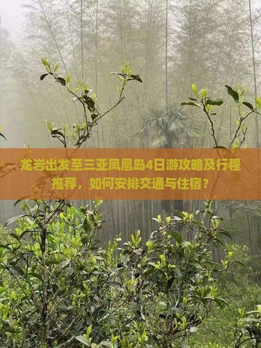 龙岩出发至三亚凤凰岛4日游攻略及行程推荐，如何安排交通与住宿？