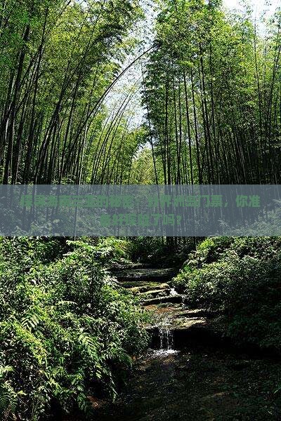 探寻海南三亚的秘密：分界洲岛门票，你准备好探险了吗？