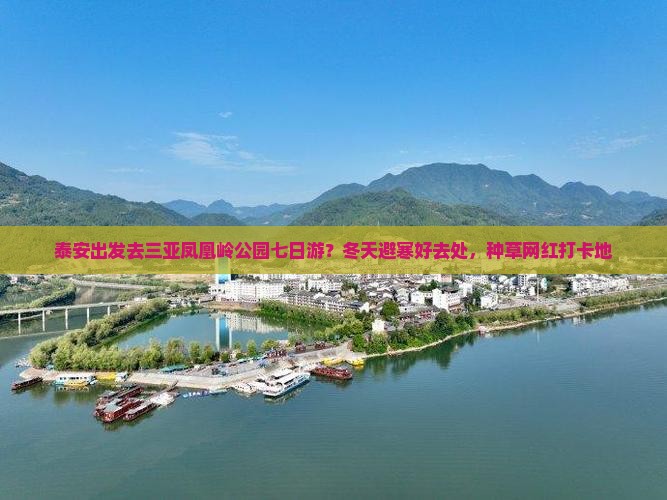 泰安出发去三亚凤凰岭公园七日游？冬天避寒好去处，种草网红打卡地