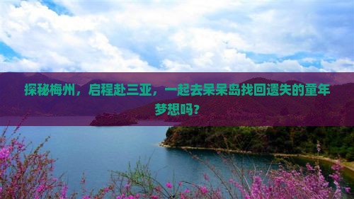探秘梅州，启程赴三亚，一起去呆呆岛找回遗失的童年梦想吗？