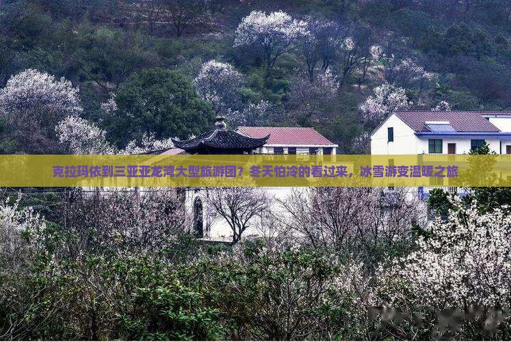 克拉玛依到三亚亚龙湾大型旅游团？冬天怕冷的看过来，冰雪游变温暖之旅