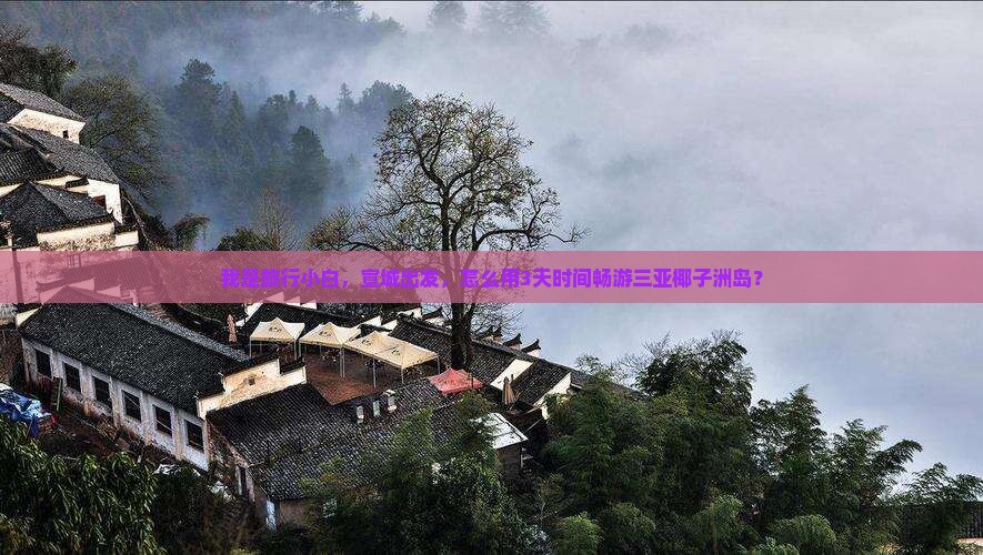 我是旅行小白，宣城出发，怎么用3天时间畅游三亚椰子洲岛？
