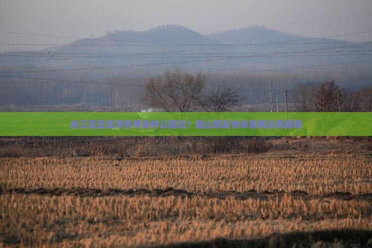 去三亚亚龙湾热带森林公园玩？眉山朋友快来看看这条路稀