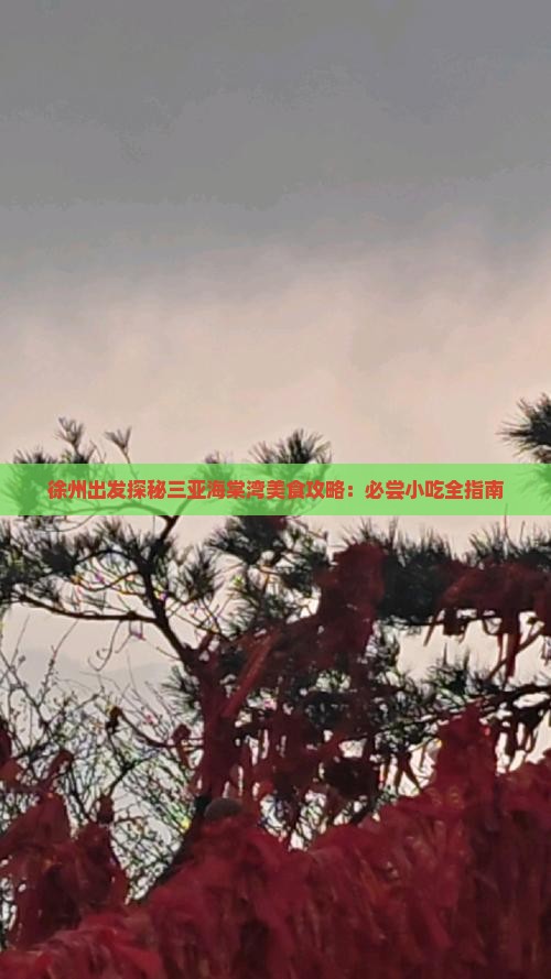 徐州出发探秘三亚海棠湾美食攻略：必尝小吃全指南