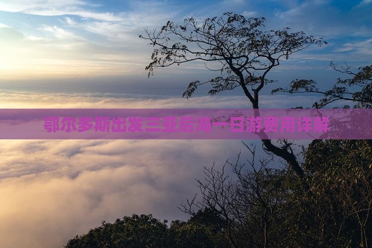 鄂尔多斯出发三亚后海一日游费用详解