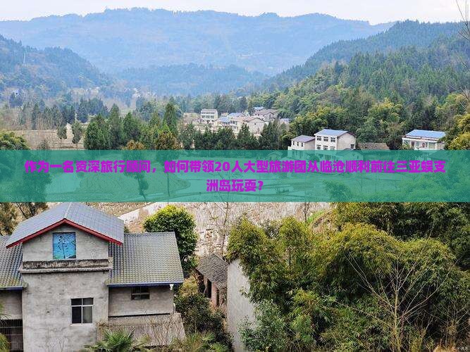 作为一名资深旅行顾问，如何带领20人大型旅游团从临沧顺利前往三亚蜈支洲岛玩耍？